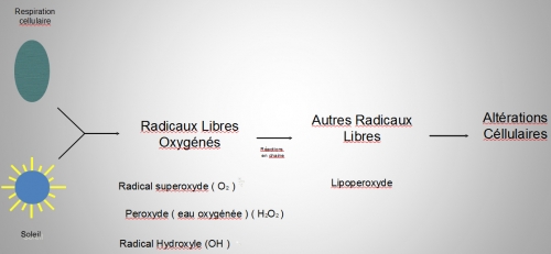 RADICAUX LIBRES